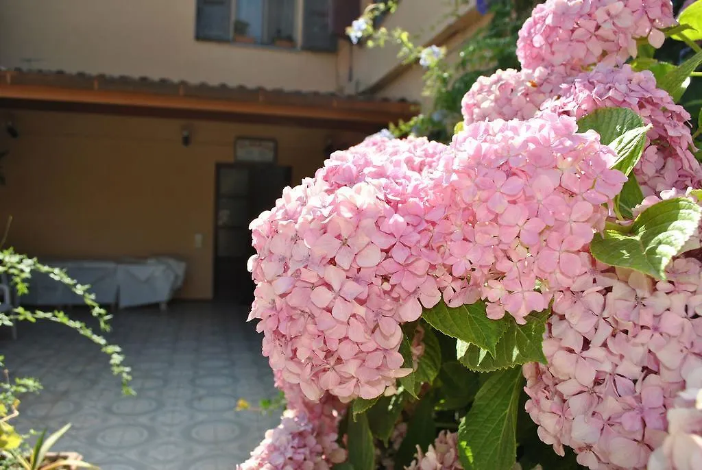 Hotel La Pineta Arborea Italien